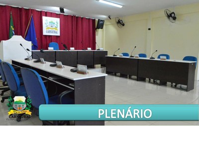 Plenário 