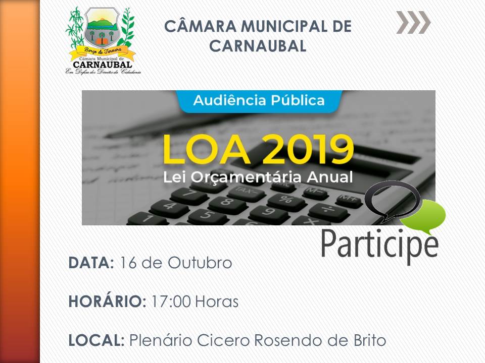 AUDIÊNCIA PÚBLICA - LOA 2019